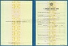 Увеличить Стоимость Свидетельства о Повышении Квалификации 1997-2018 г. в Шали (Республика Чечня)