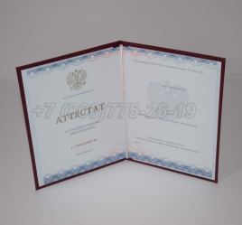Аттестат За 11 Класс 2023г Золото ГОЗНАК в Грозном