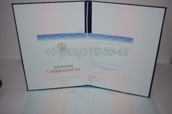 Диплом о Высшем Образовании 2023г СпецБланк в Грозном